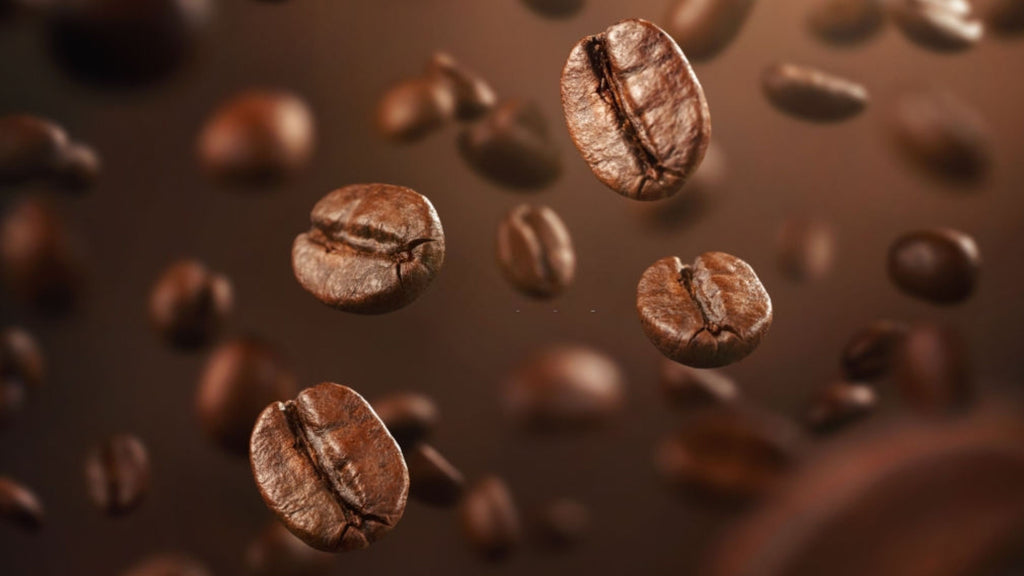 Types of Coffee Beans - Coffeeza