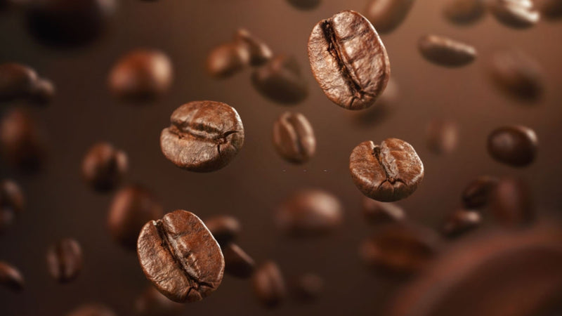 Types of Coffee Beans