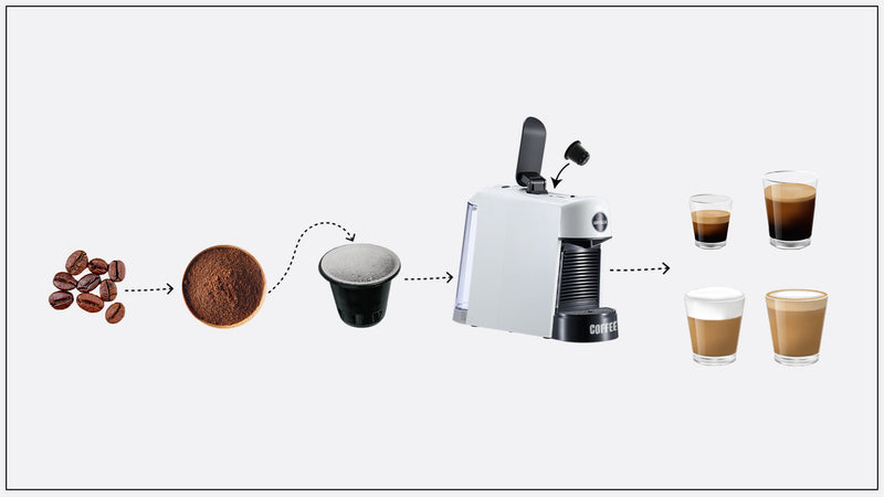 Bean to Cup Journey
