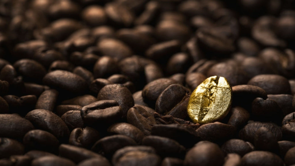 5 Expensive and Rare Coffees in the World - Coffeeza