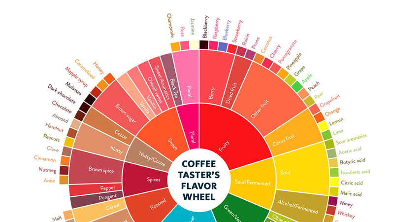 What are coffee taste notes?