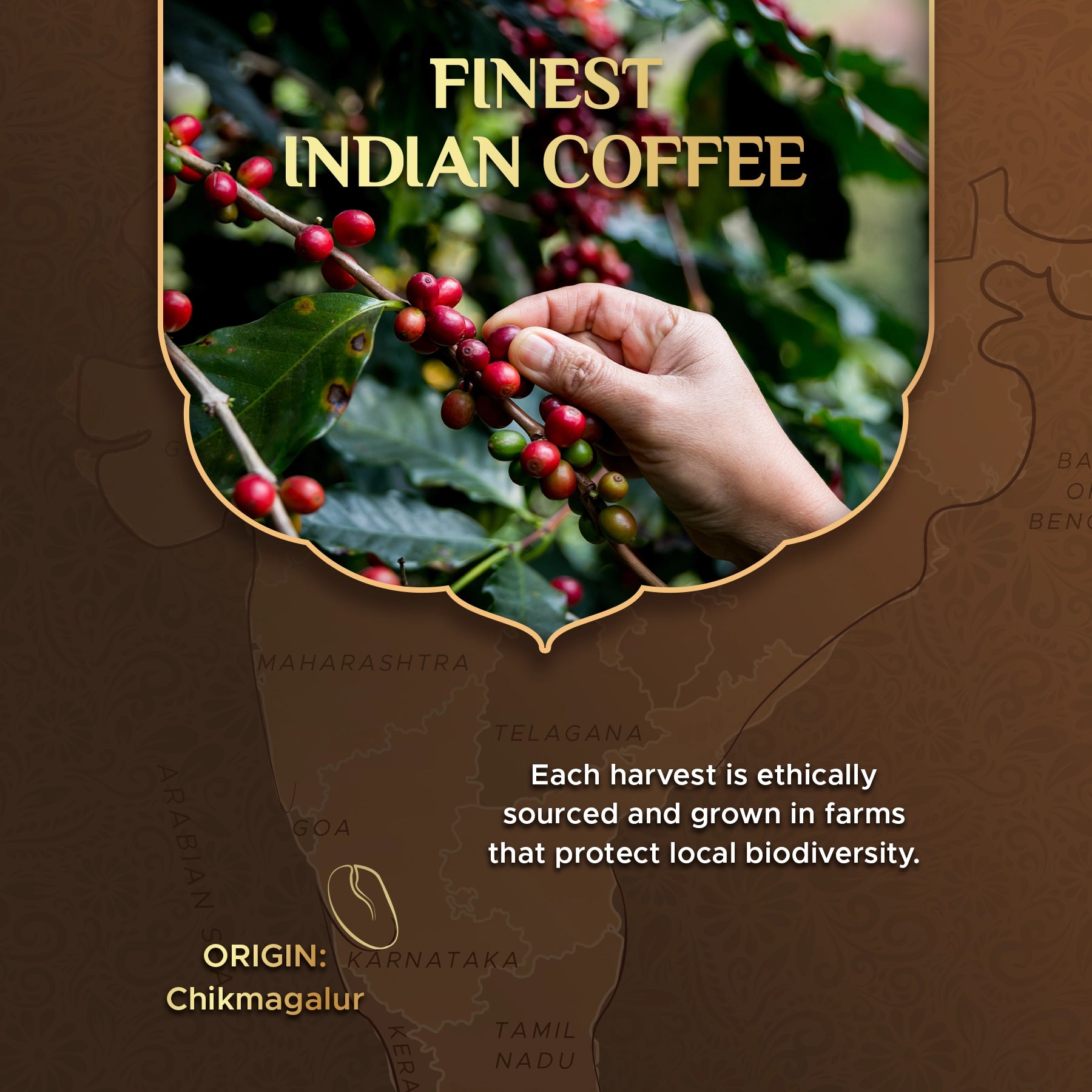 Vanilla 100% Arabica Flavoured Aluminium Coffee Capsules