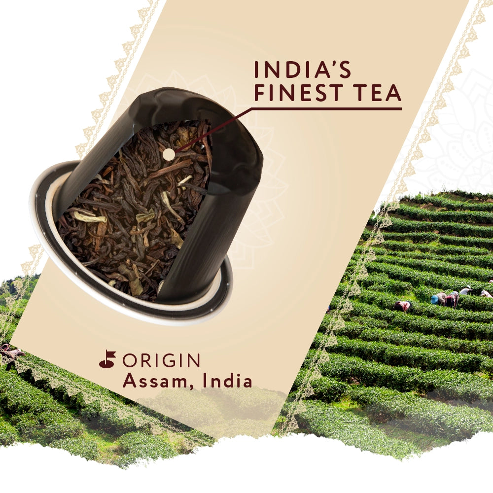 Coffeeza Assam Tea Capsules, India's Finest Tea in Aluminium Capsules