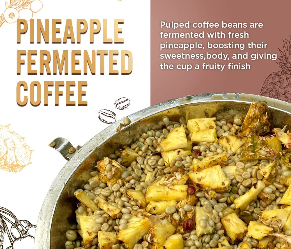 Coffeeza Pineapple Fermented Coffee – Single-Estate, 100% Arabica Coffee Capsules nespresso compatible