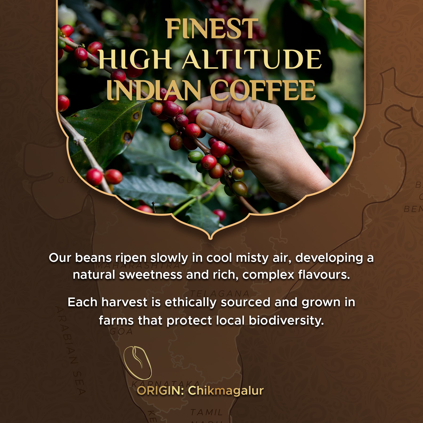 Intenso Specialty Ground Coffee/Beans