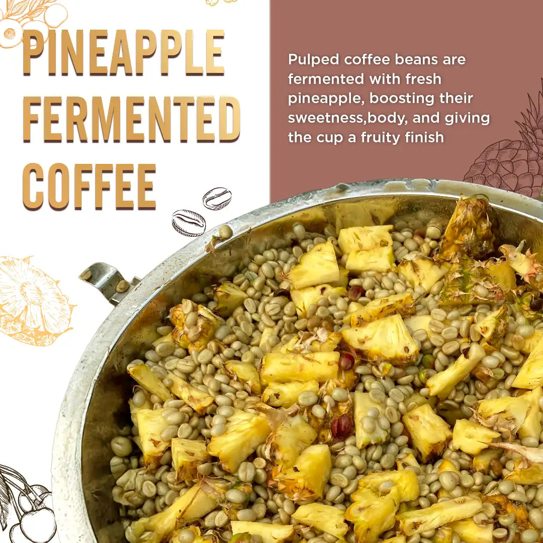 Pineapple Fermented Coffee – Single-Estate, 100% Arabica Coffee Capsules
